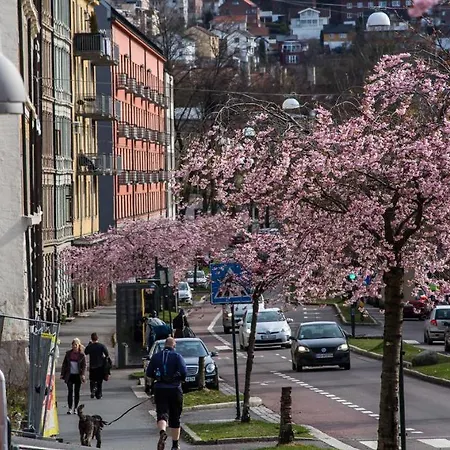 Hotel Norwegian